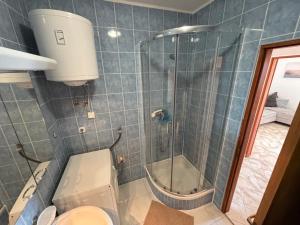 Apartment Blanusa A