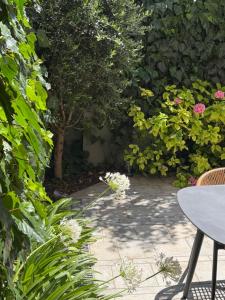 Wow garden in the heart of Venice