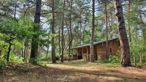 Forest Edge Retreat