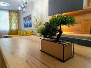 Three-room apartment in the center of Varna