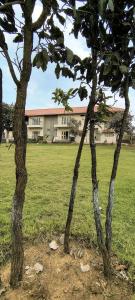 The Palash wildlife resort parsili