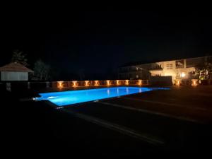 The Palash wildlife resort parsili