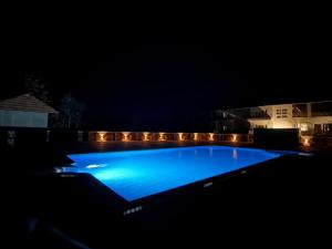 The Palash wildlife resort parsili
