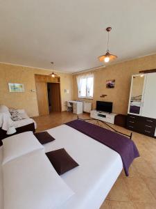 Apartman EN