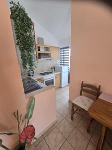 Apartments and Rooms Jasna