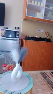 Furnished studio kiambu road thindigua tsavo coral bell