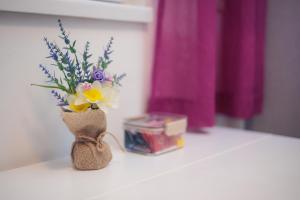 Apartman City view Zemun