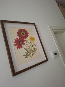 La Dimora dei Fiori Vacation Home - Sansepolcro AR