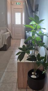 Comfy apartment near the port and the center of Volos