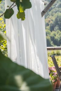 B&B Unterhabsbergerhof