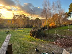 Woodlands camping