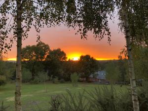 Woodlands camping