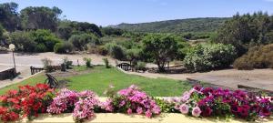 Villa Blu Mediterraneo