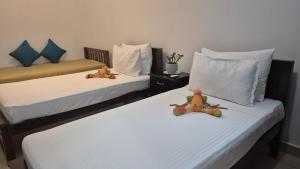 2 Bed Apartment in Colombo 3