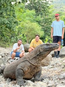Dua Putri Komodo Homestay