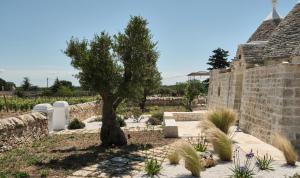 Agriturismo TENUTA MAGALEPPO di Basile Miriana