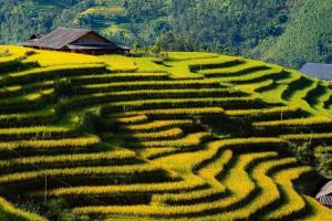 SaPa Farmer House