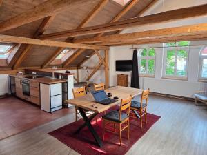 Apartmán U lípy