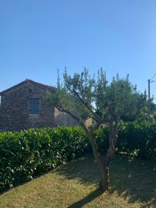 Casa Miro