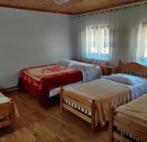 Guest House Trojani