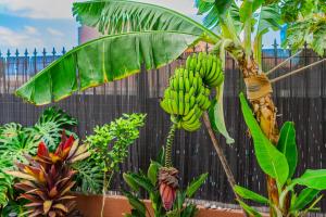 Oceanview Duplex, AC, Heated pool