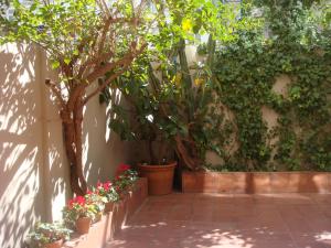 Suitur Courtyard Apartment