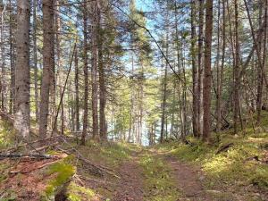 Bonaventure River Camper, Salmon Fishing and Launch