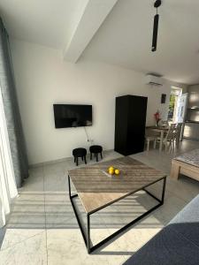 Vasiniko Apartment