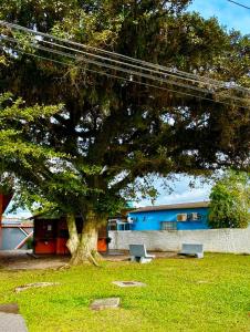 Apartamento aconchegante próx ao Treichel