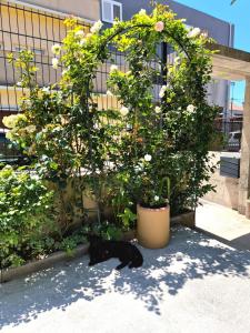 Rina Apartment- with barbecue and free parking