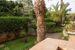 Bright Modern Downtown Studio Central Casablanca