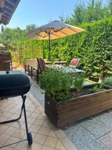 Il Caminetto il calore di una taverna tutta per voi