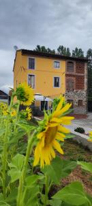 B&B Toringo