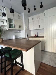 Swan Apartment- zielony taras i prywatny parking w cenie