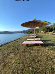 Camping Principata