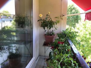 Quiet room-metro line 7 to 10 min-direct Paris