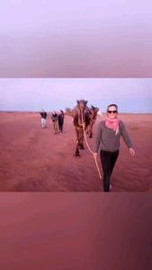 Camping ismail sahara way camp