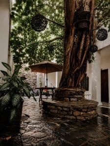 Hotel Puerta de Jade