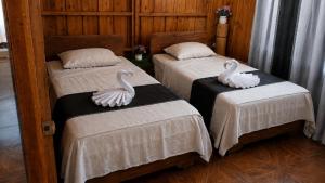 Relax near Marino Ballena National Park
