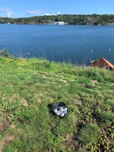 Spectacular lake plot, Stockholm archipelago