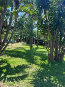 King Oasis Holiday Location Piscina 20m