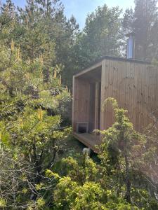 Üügumetsa treehouse and sauna