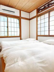 伊豆高原 樱吹雪の庭