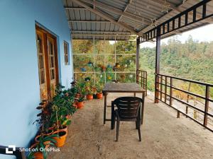 Ruban house homestay
