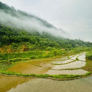 Pu Luong Riverside Lodge