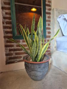 pesisircottage & stay