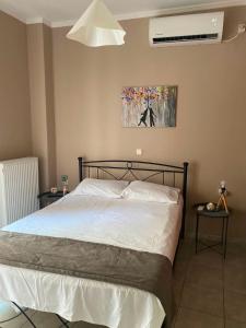 Calypso Rooms