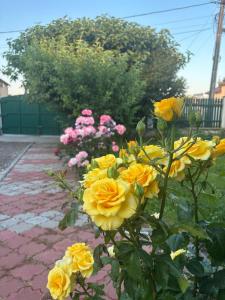 Helen Rooms Vama Veche