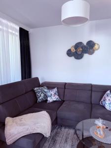Pitter Apartament