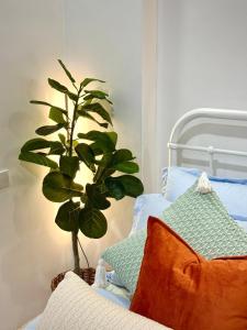 Solara Boutique Room with Kitchen, Netflix & Private Bath